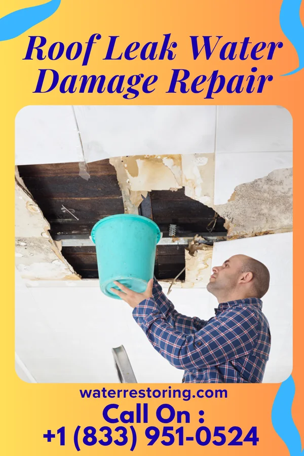 Roof Leak Water Damage Repair in Clemson, SC