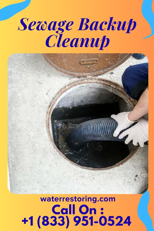 Sewage Backup Cleanup in Clemson, SC